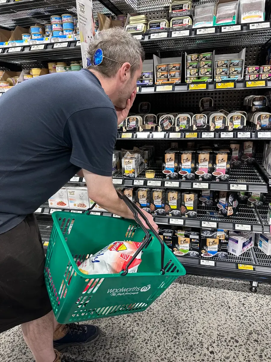 A person filling a basket while grocery shopping at a supermarket shelf